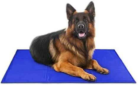 Arf Pets Pet Dog Self Cooling Mat Pad for Kennels, Crates and Beds 31 X 37