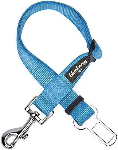 Dog Leash - Puppy Essentials & Heavy Duty Dog Leashes for
