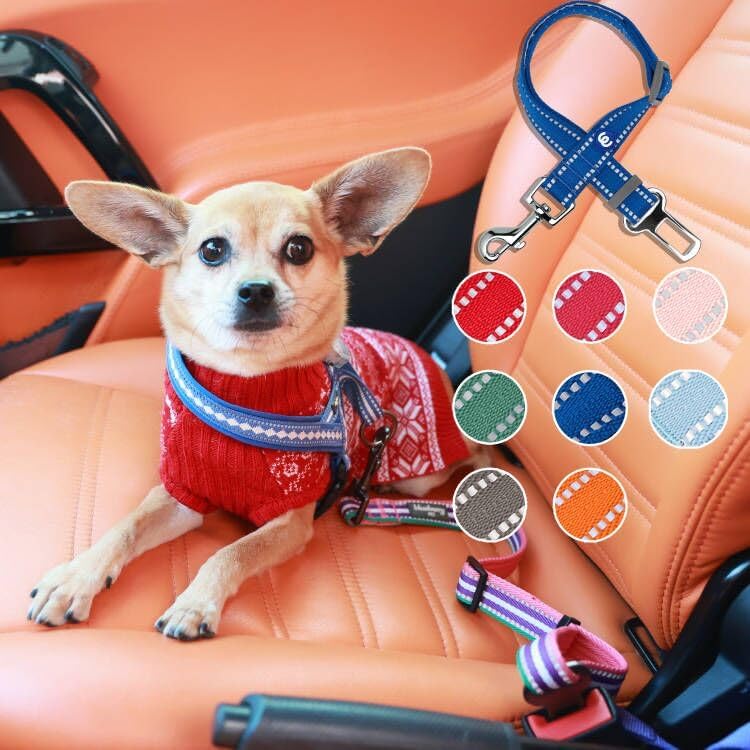 Essentials Pastel Color Reflective Dog Seat Belt Tether
