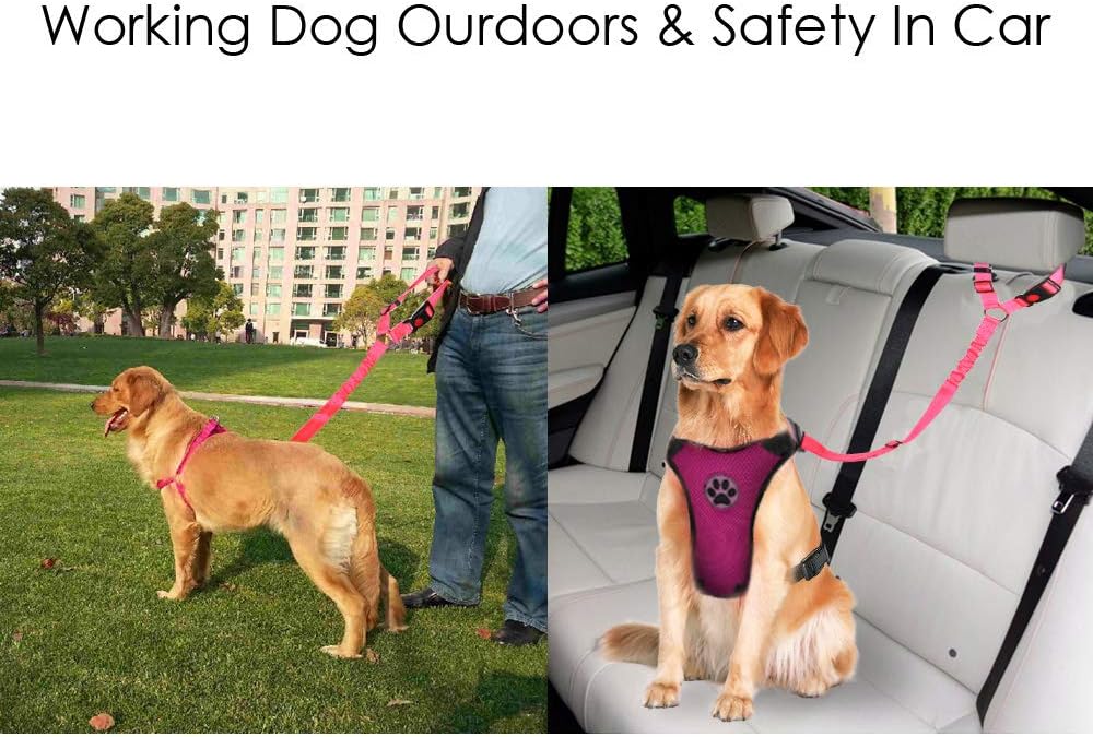 Dog Car Seat Belt, 2 Pack Headrest Restraint Seatbelt
