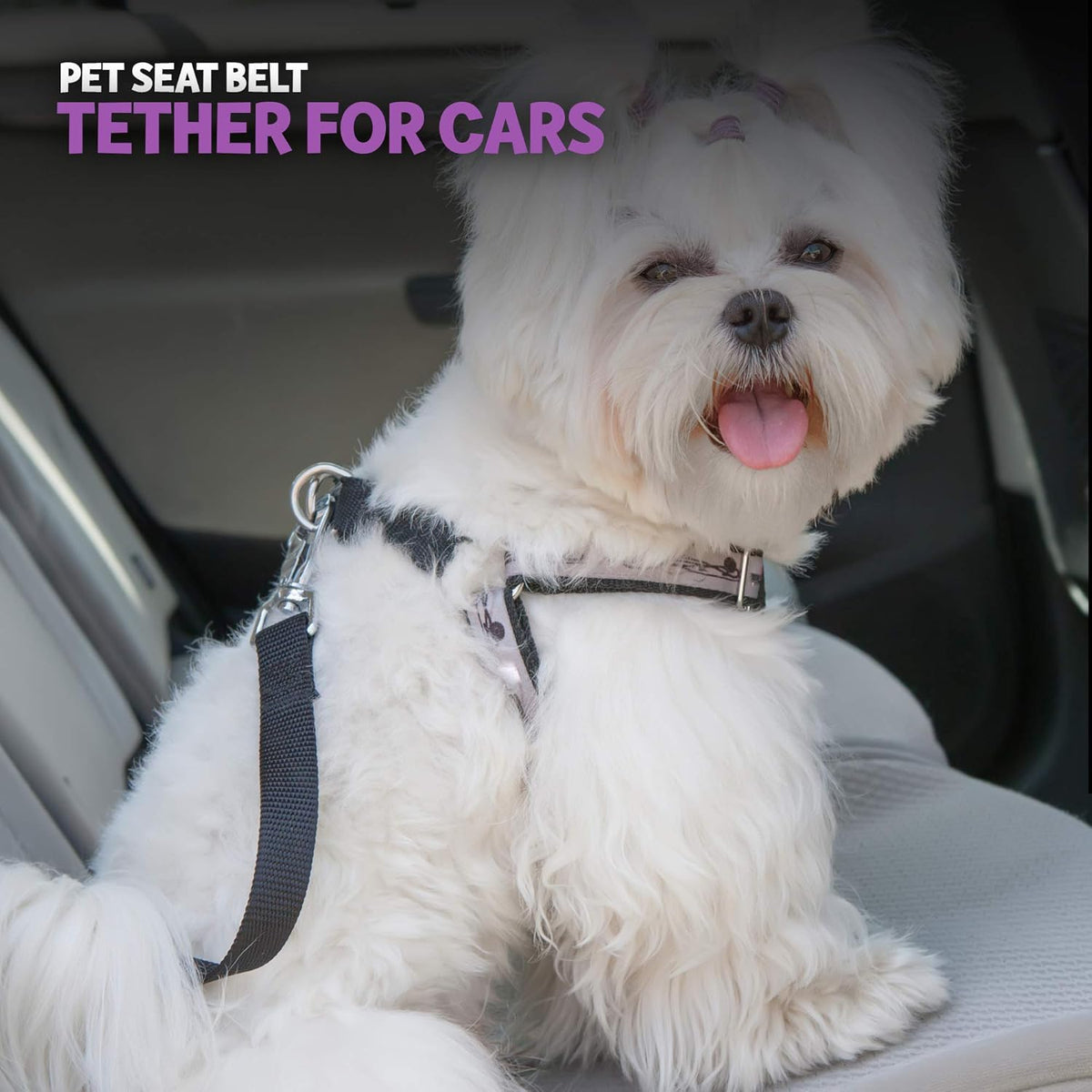 Poodle Pet Easy Click Car Seat Belt for Dogs | Adjustable
