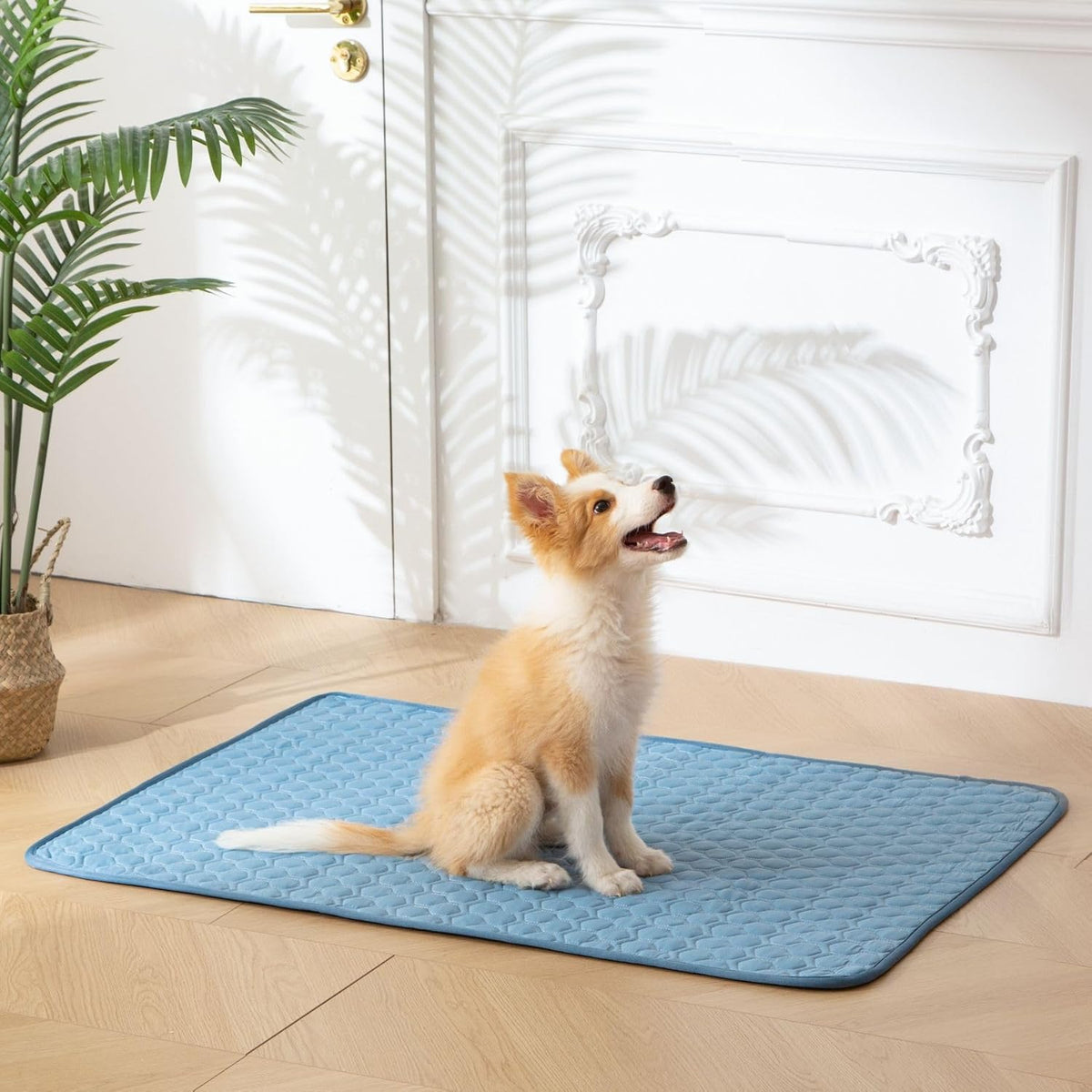 Soulbond Cooling Mat for Small Dogs - 25" x 35" Washable Cooling Mat for Cats, QMAX>0.3, Anti-Slip Bottom, Portable Summer Cool Puppy Bed Pad for Outdoor/Indoor/Cars/Travel Use, Ocean Blue