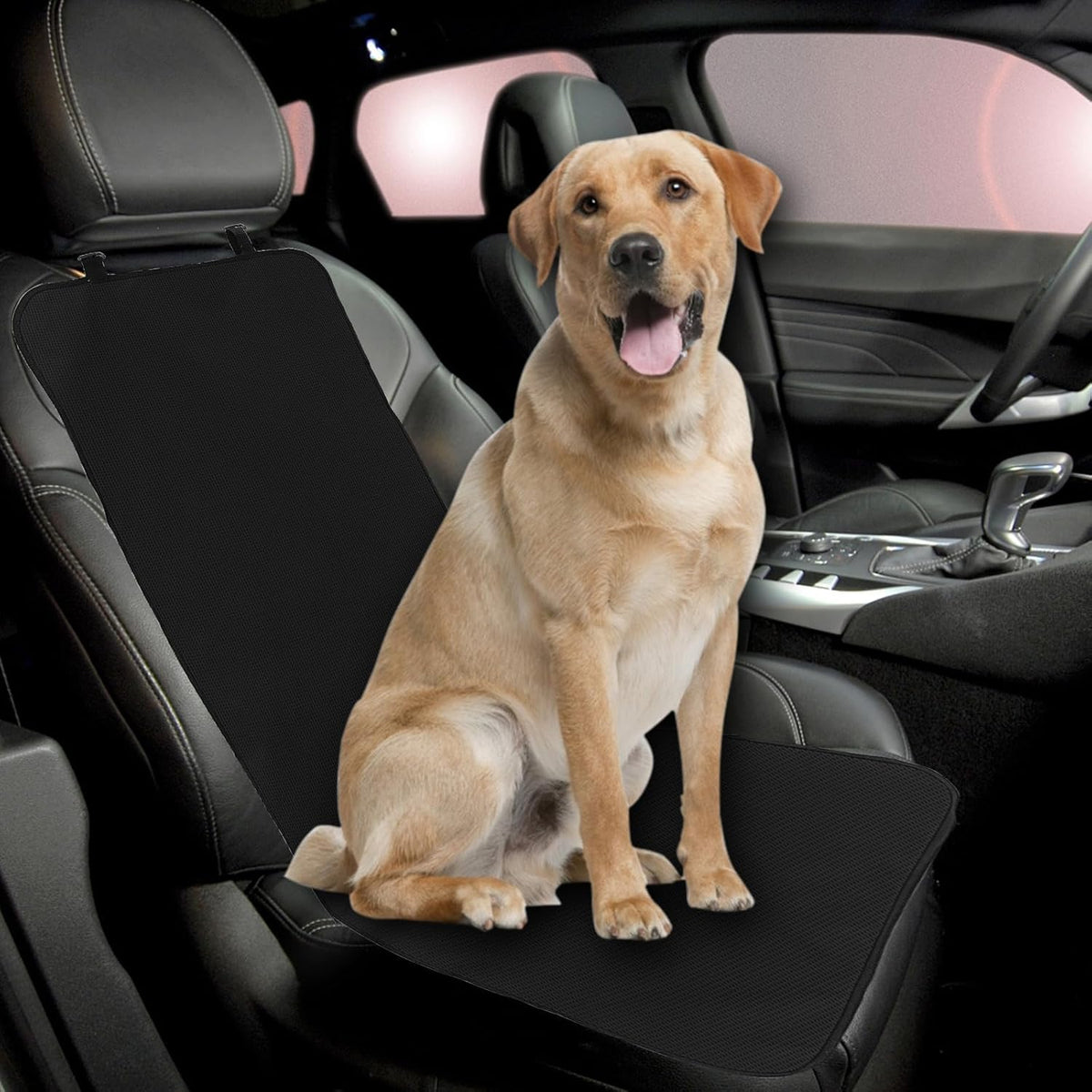 Pet Car Seat Protector Dog Car Seat Cushion Waterproof