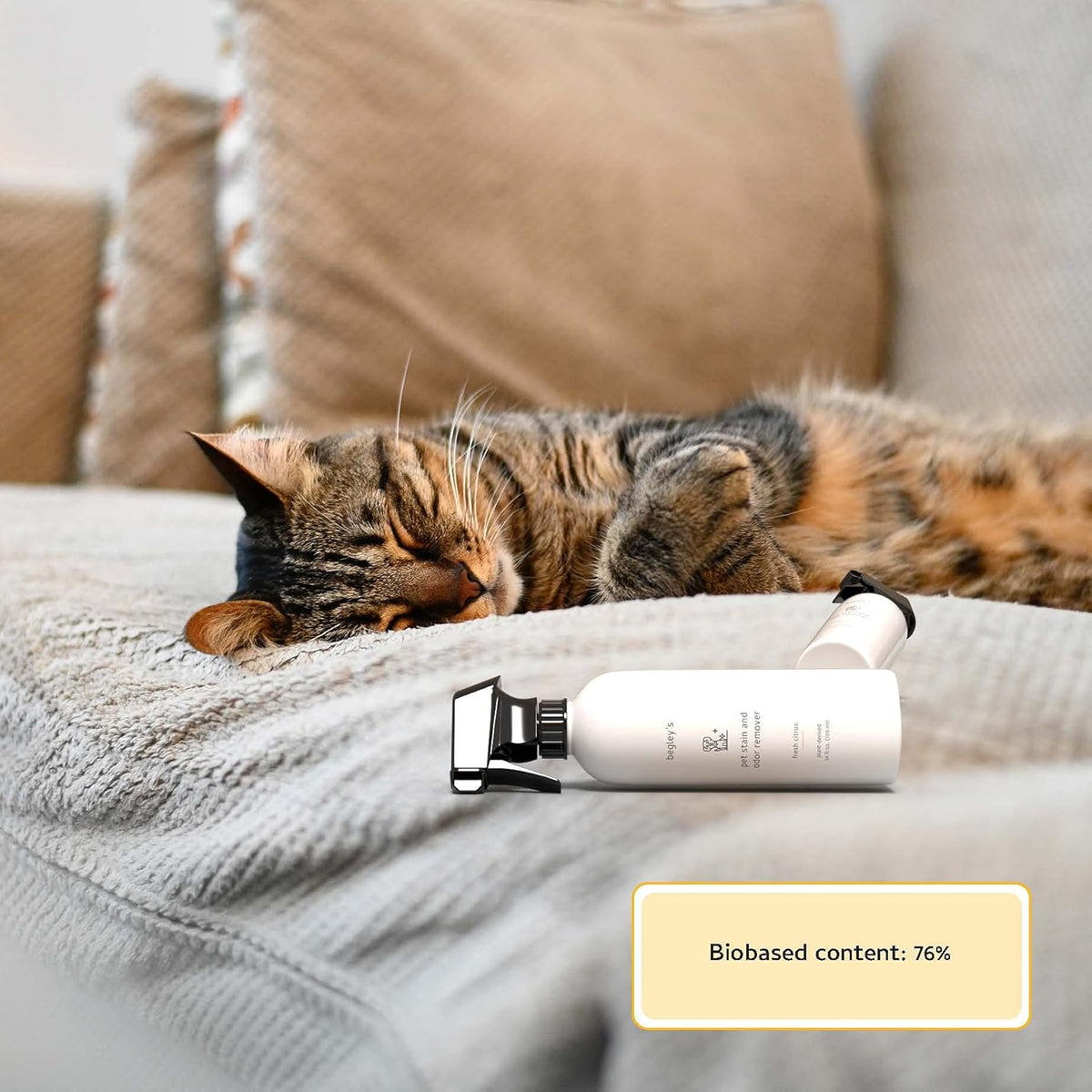 Pet Stain and Odor Remover - Pet Odor Eliminator for Home