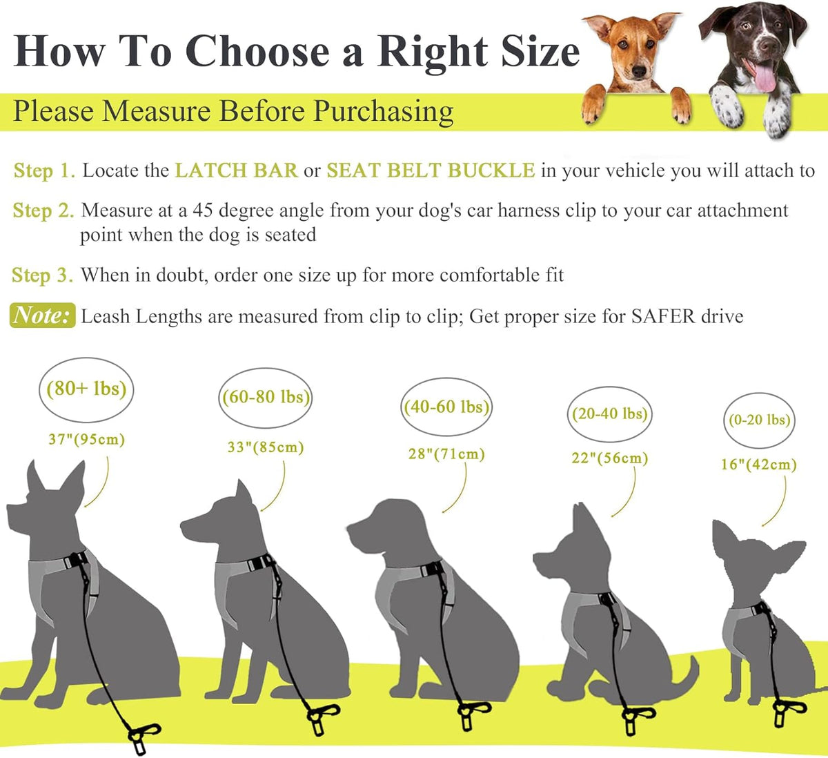Dog Seat Belt, Chew Proof Waterproof Multi-Functional Dogs