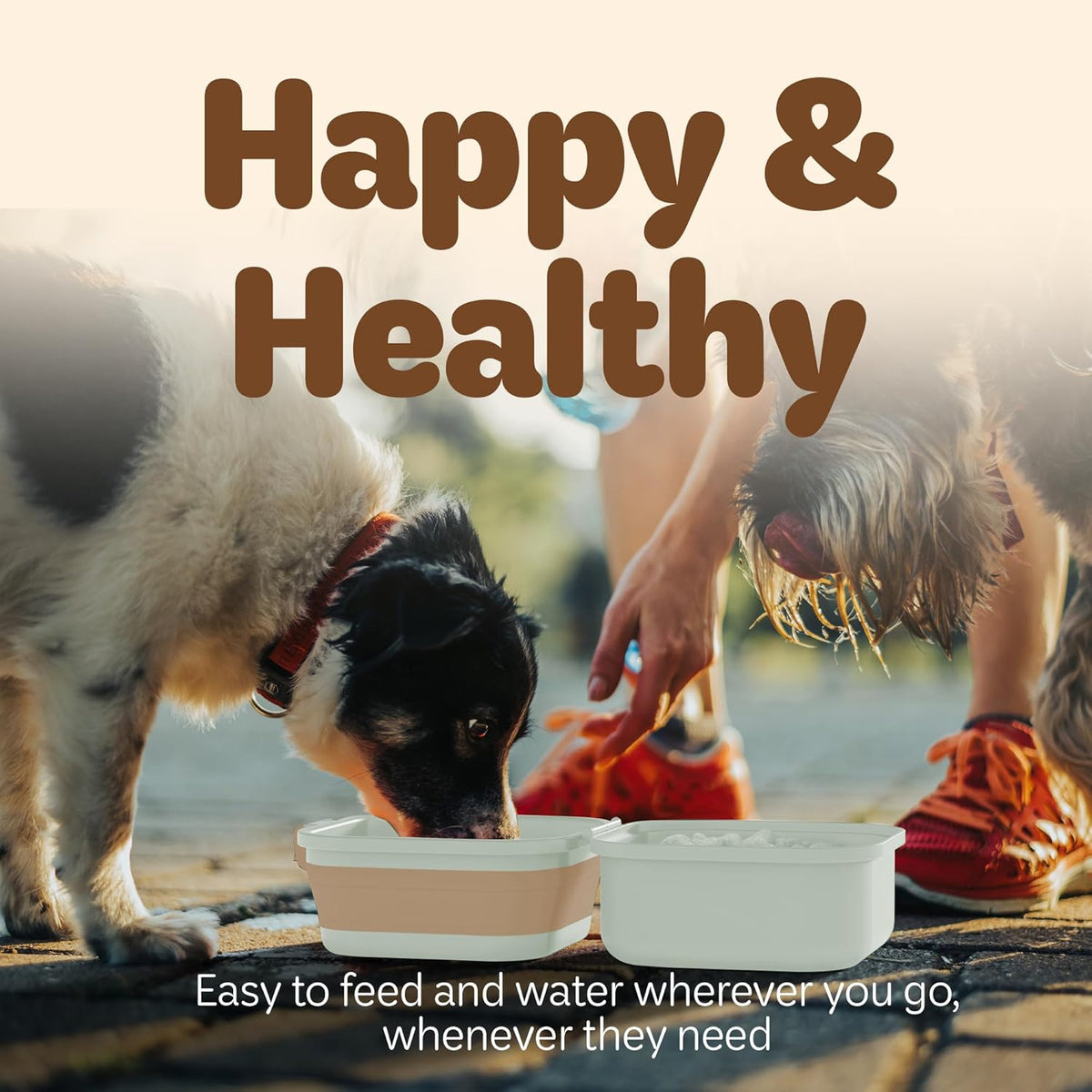 Collapsible Dog Water Bowl 30oz, 2 in 1 Portable Travel Dog Food Bowl with Lid, Easy Carry Loop Handle, Foldable Dog and Cat Food Bowl, Perfect for Traveling, Walking, Hiking (Khaki)