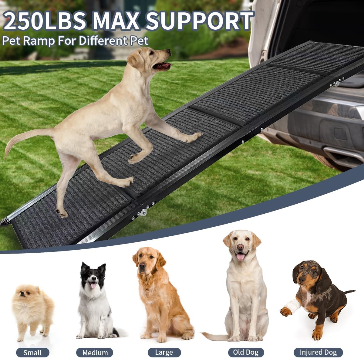 Extra Wide Dog Ramp for SUV, Truck & High Beds – Foldable