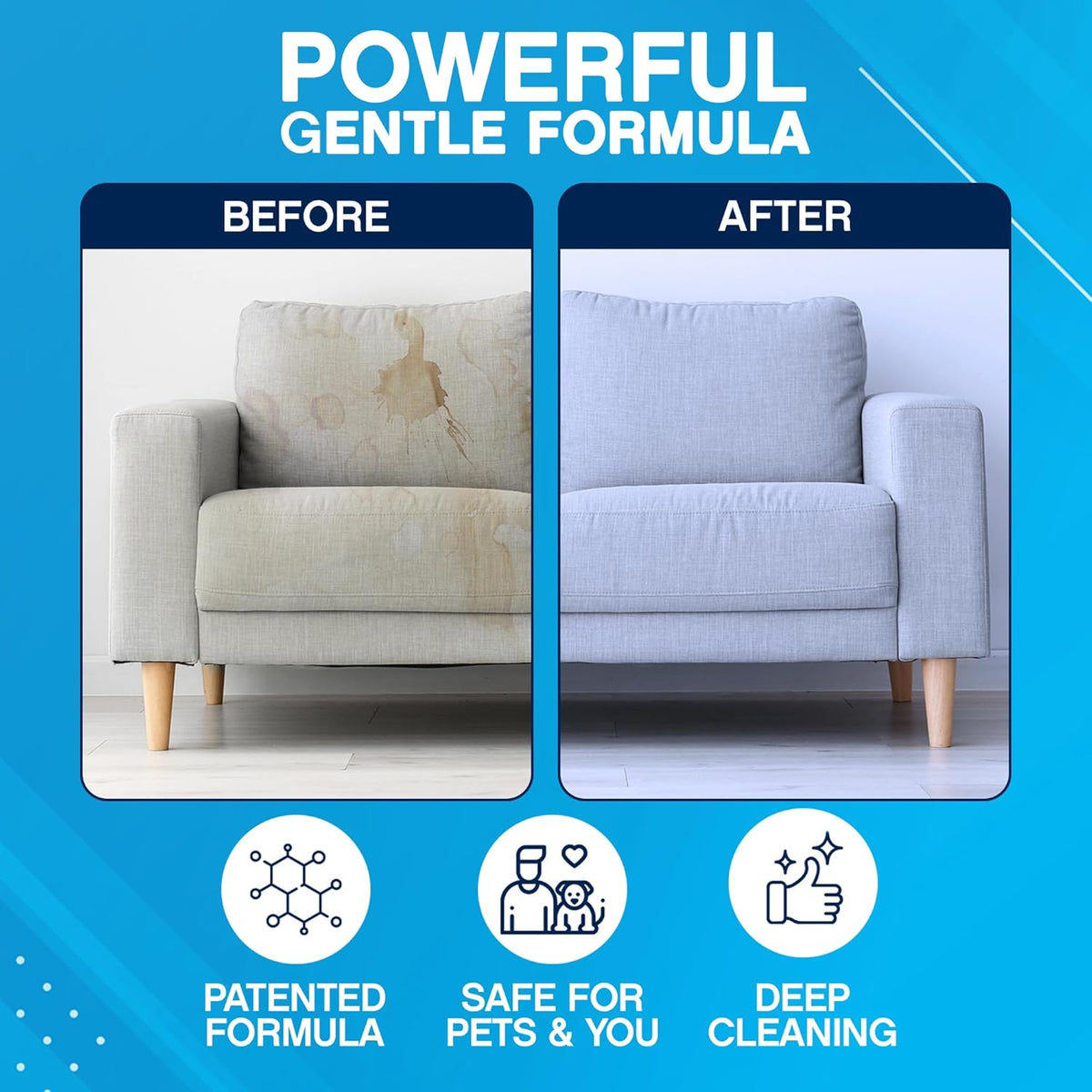 Stain & Odor Eliminator - Pet Odor & Stain Remover for Dog