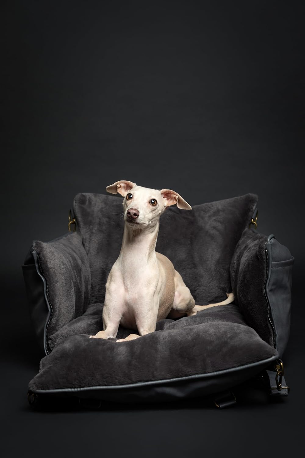 Dog Car Seat Carrier, Small Dog Car Seat for Small Medium