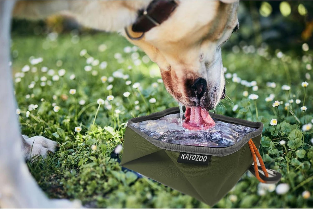 Travel Dog Bowls, 2 Pack 60oz Collapsible Dog Bowls, Portable Food and Water Bowls for Walking, Camping, and Traveling, Suitable for Food and Water