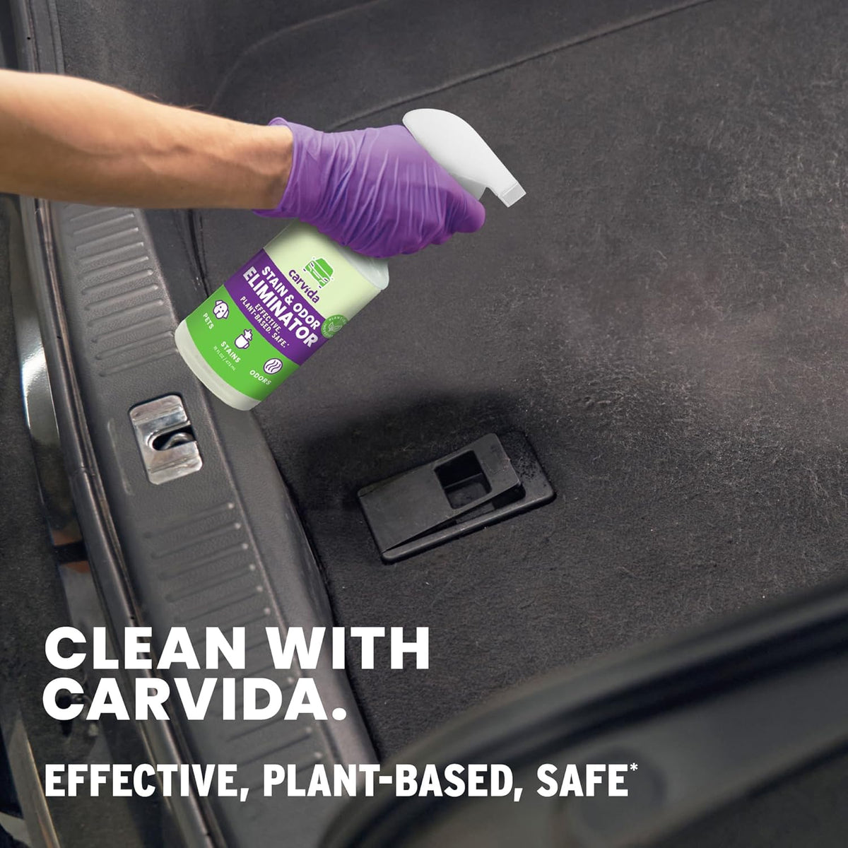Pet Odor Eliminator, Enzyme-based Stain & Odor Remover