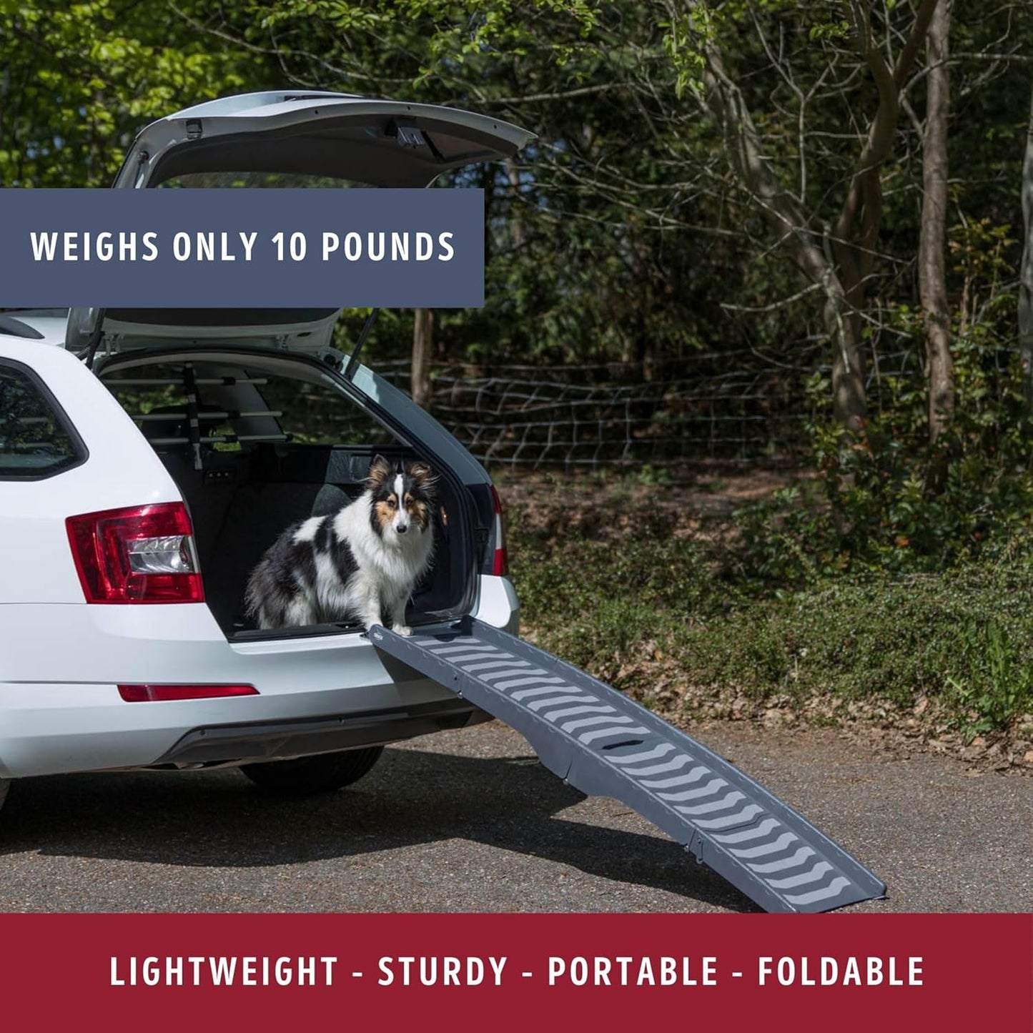 59-in Pet Ramp for Small to Medium Dogs up to 55 lbs