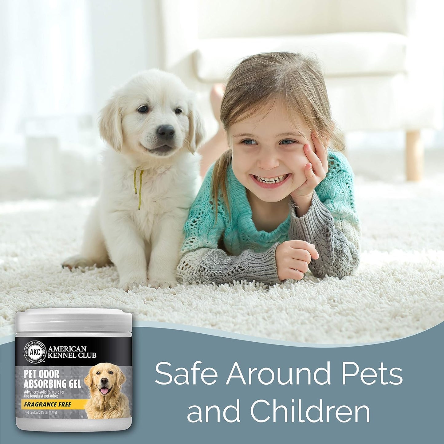 SMELLS BEGONE Pet Odor Absorber Gel - Air Freshener & Odor