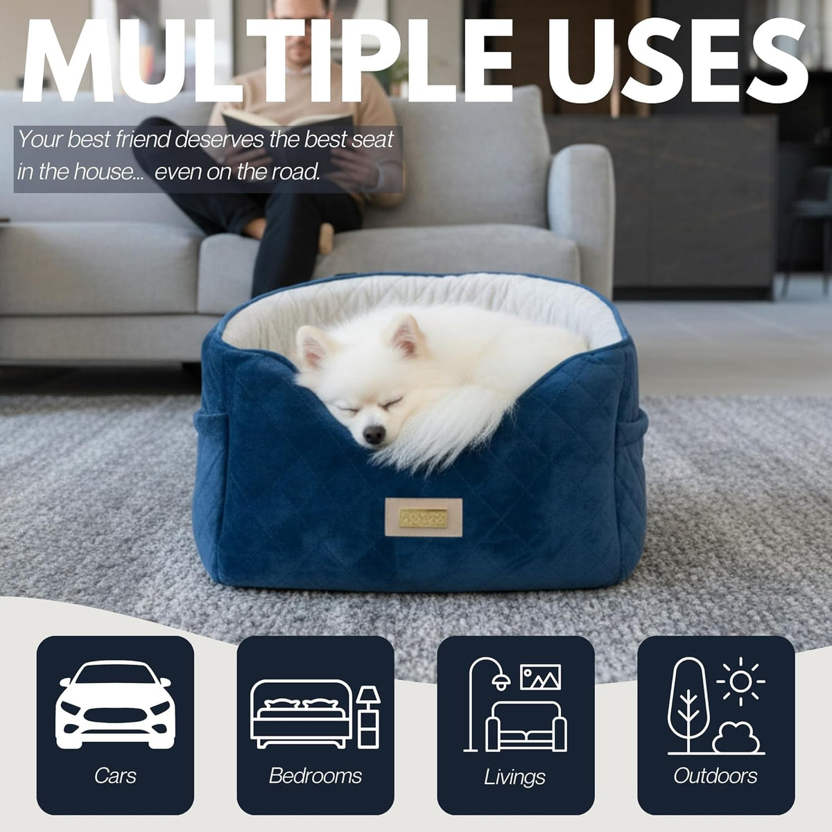 Premium 2-in-1 Dog Car Seat & Home Bed for Small Dogs –