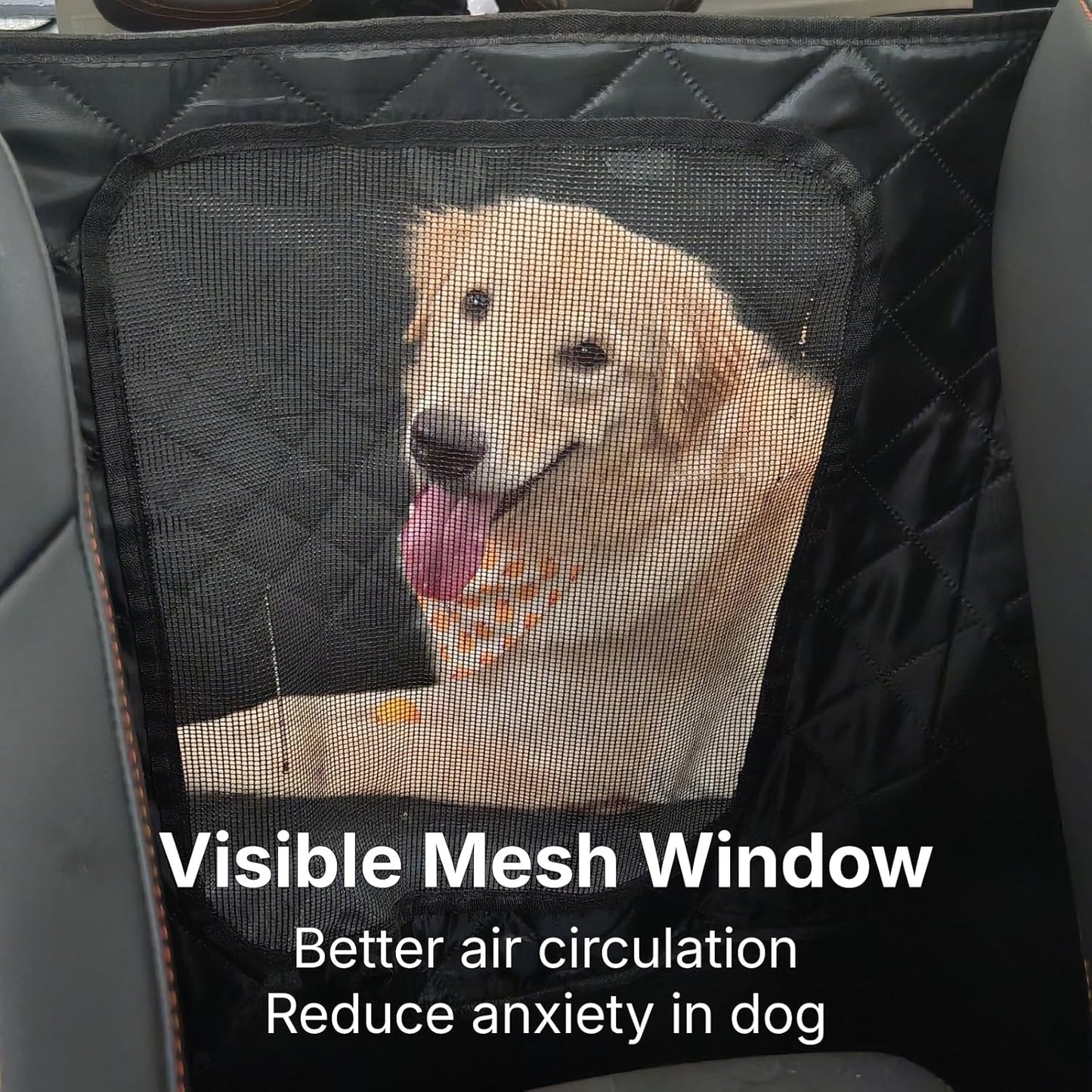 Dog Car Seat Cover for Back Seat with Door Protection