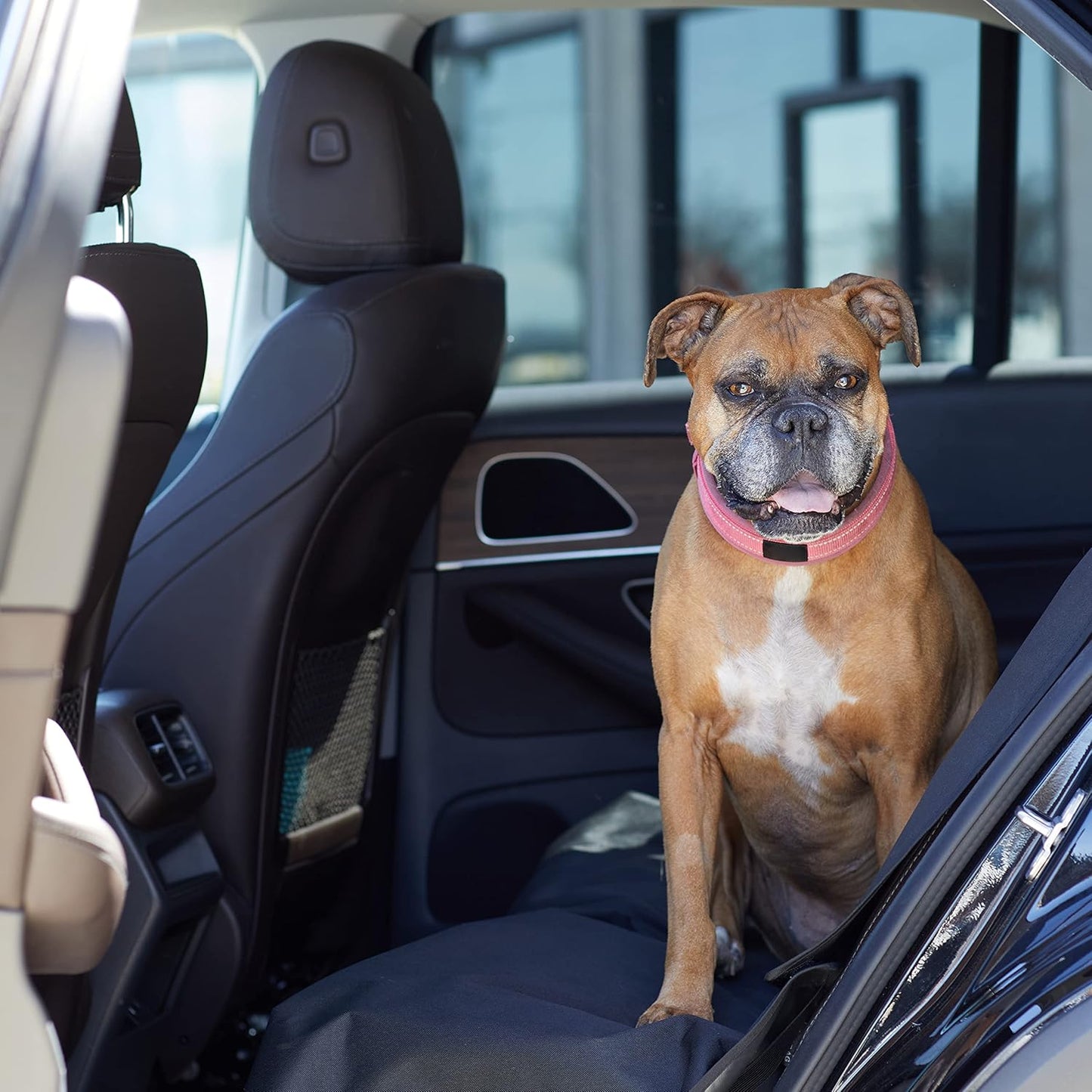 Waterproof Dog Car Seat Cover, Protector for Pet, Car Back