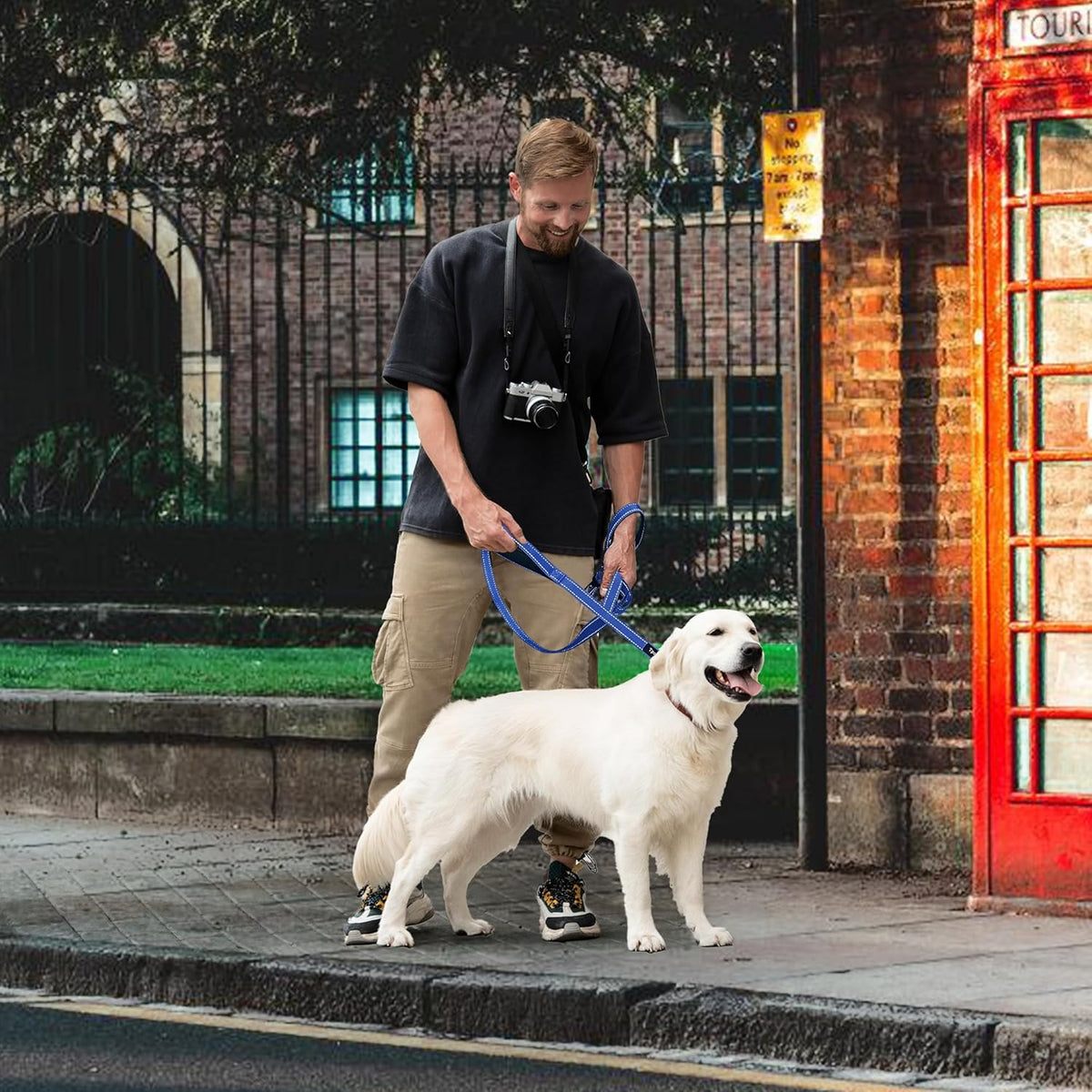6 Foot Blue Dog Leashes for Large Medium and Small Breed