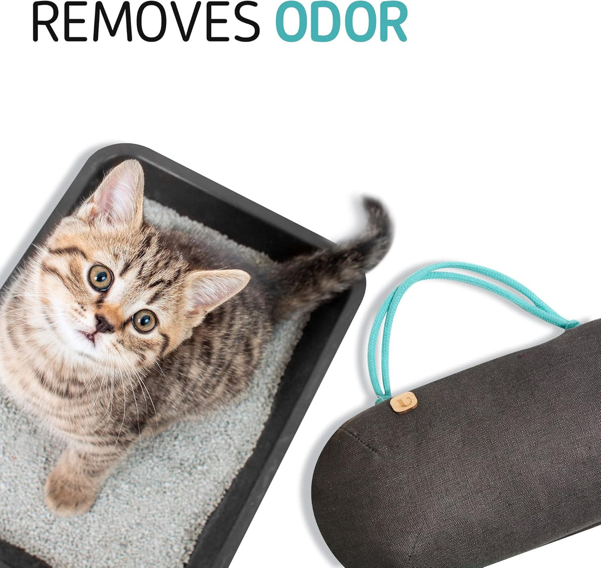 Car Air Freshener - Lasts 365+ Days No Chemicals 100%