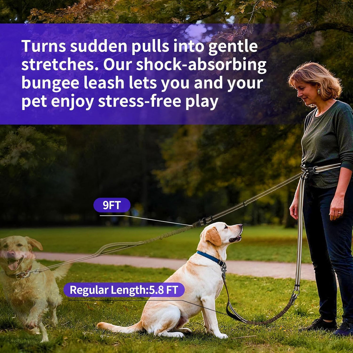Hands-Free Dog Leash with 6-9FT Adjustable Length - Heavy