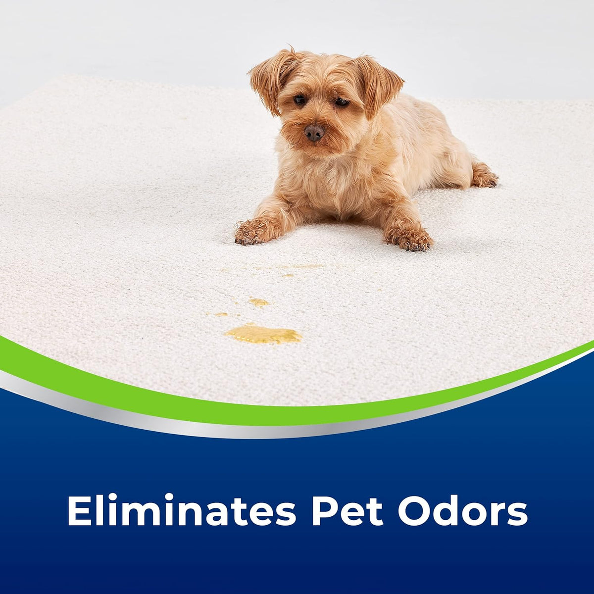 Woolite® Advantage Pet Stain & Odor Remover + Sanitize, 3327