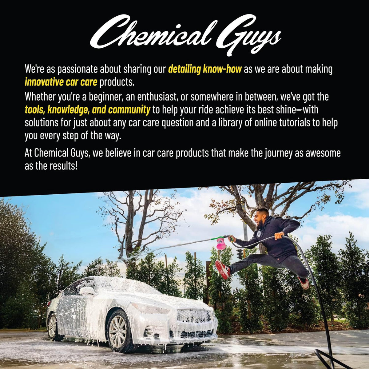 Chemical Guys All in the Details Interior Detailing Brush Set - 3-Piece Soft & Durable Car Detailing Brushes for Vents, Consoles, Buttons, Trim & Hard-to-Reach Areas in Cars, Trucks, SUVs & RVs