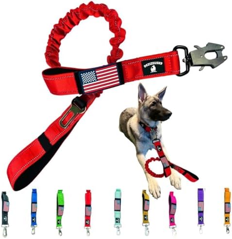 Heavy Duty Bungee Dog Leash - Shock Absorbing, Seat Belt