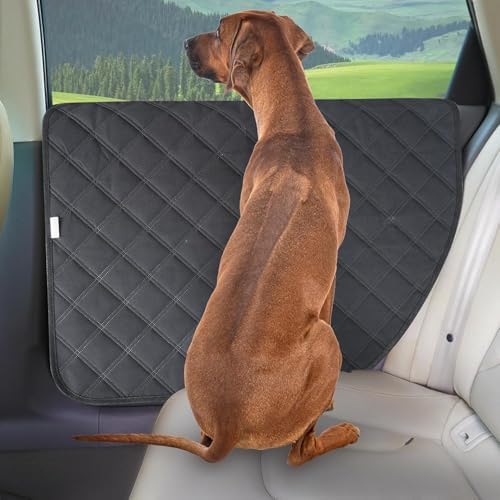 Dog Car Door Protector for Mitsubishi Proudia RVR
