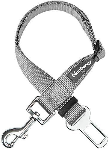 Dog Leash Puppy Essentials Seat Belt Tether for Dogs Cats