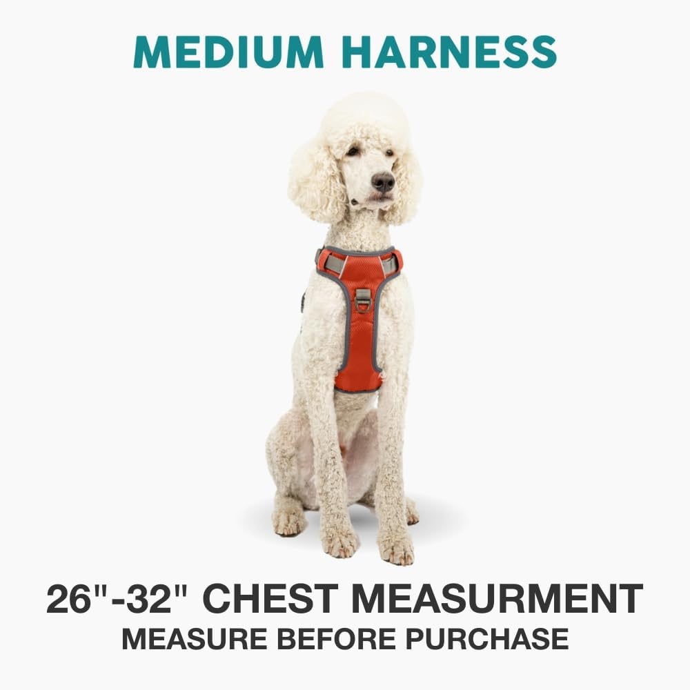 Embark Adventure No-Pull Medium Dog Harness – Reflective
