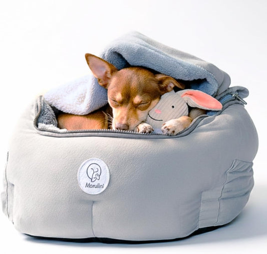 Orthopedic Dog Car Seat for Small Breeds - Original Calming