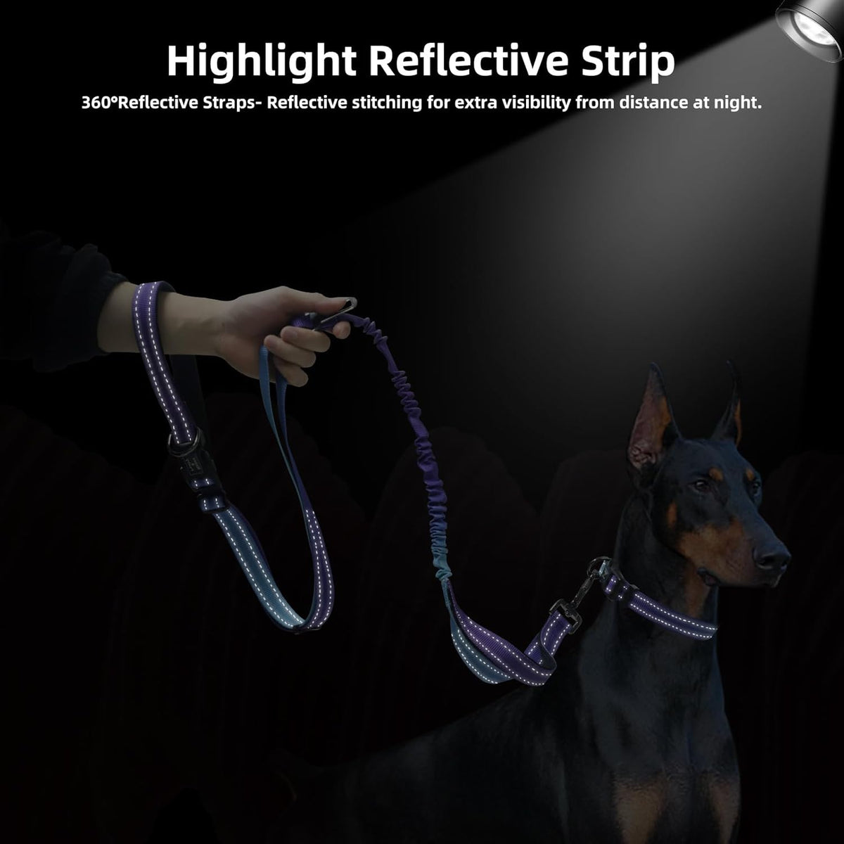 Hands Free Dog Leash for Medium Large Dogs Heavy Duty, No