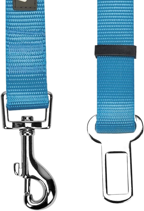Dog Leash - Puppy Essentials & Heavy Duty Dog Leashes for
