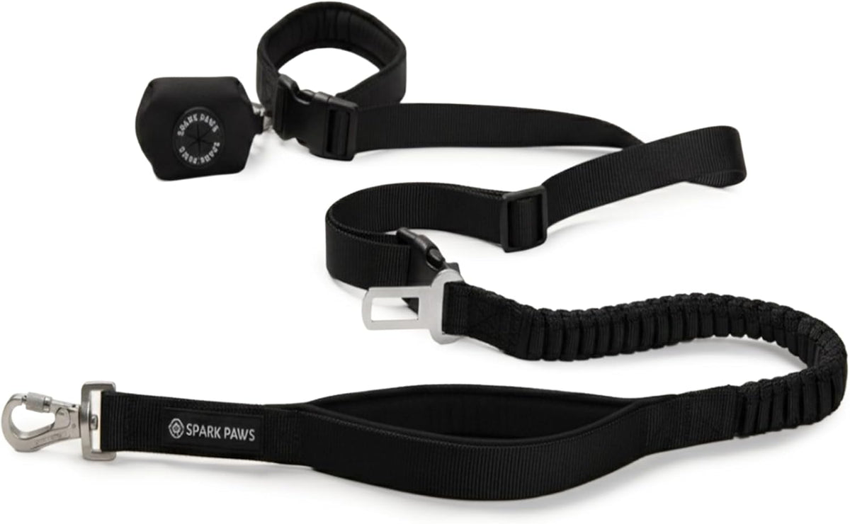 Handsfree Dog Leash – Shock Absorbing Waist Bungee Lead for