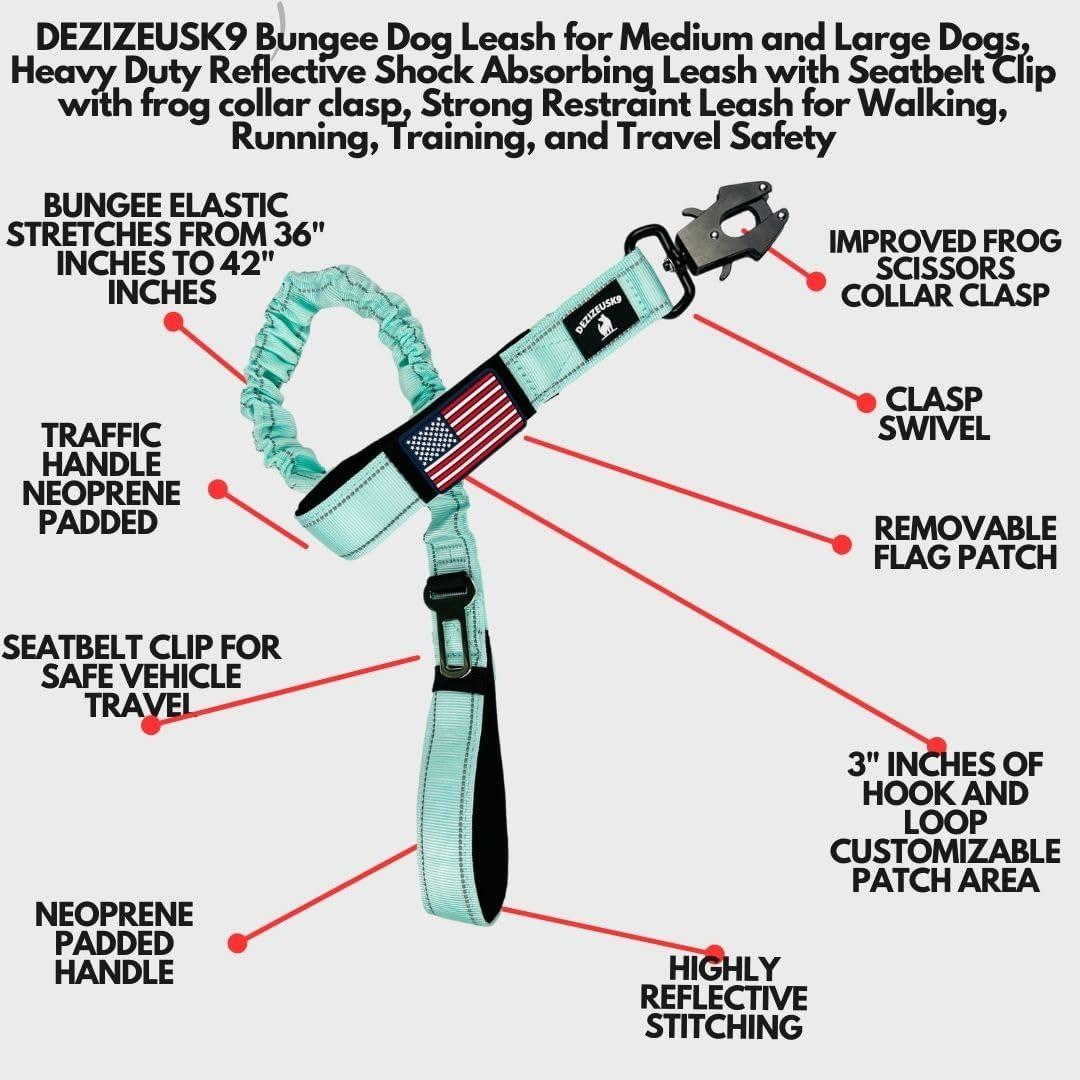 Heavy Duty Bungee Dog Leash - Shock Absorbing, Seat Belt
