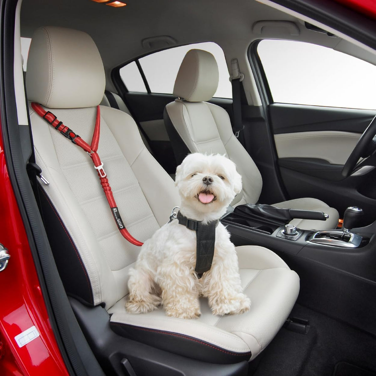 Comfortable Dog Seat Belt Harness for Car - 2-in-1 Leash