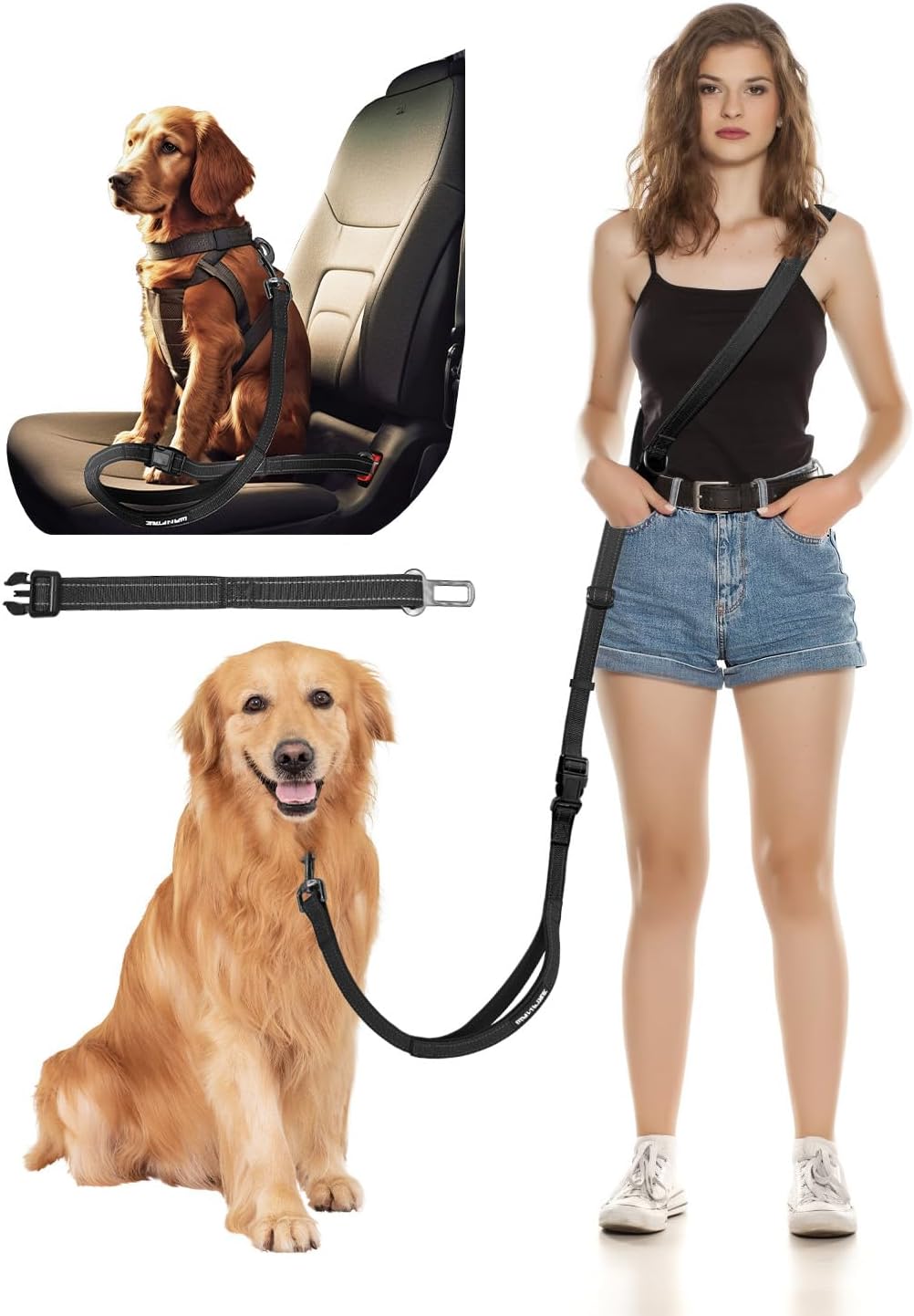 Hands Free Dog Leash, Pet Car Seatbelt, 2-in-1