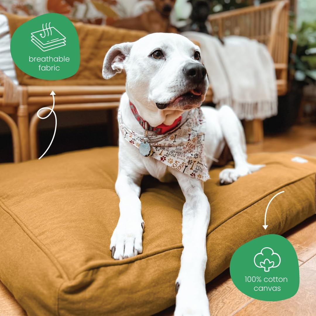 Fast Car Dog Bed Duvet Cover, GOTS-Certified 100% Cotton