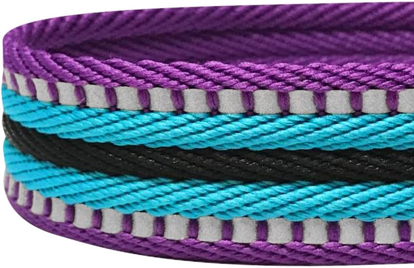 Dog Leash Puppy Essentials - 3M Reflective Adjustable Dog