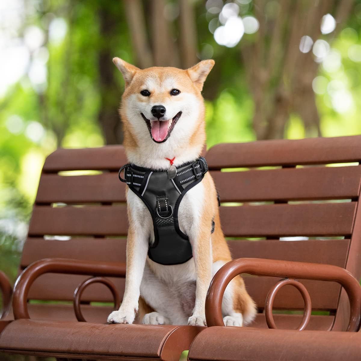 2019 Upgraded No Pull Dog Harness with 4 Snap Buckles, 3M