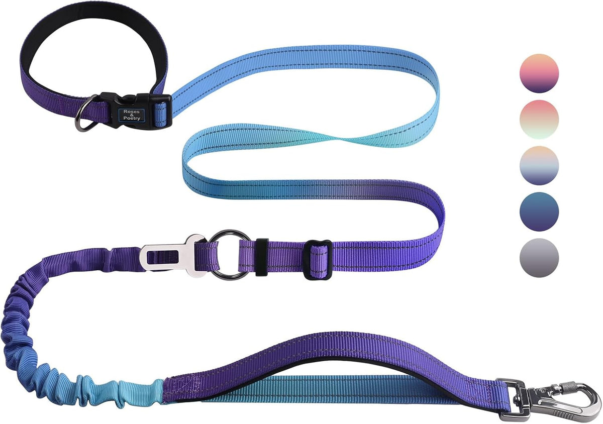 Hands Free Dog Leash for Medium Large Dogs Heavy Duty, No