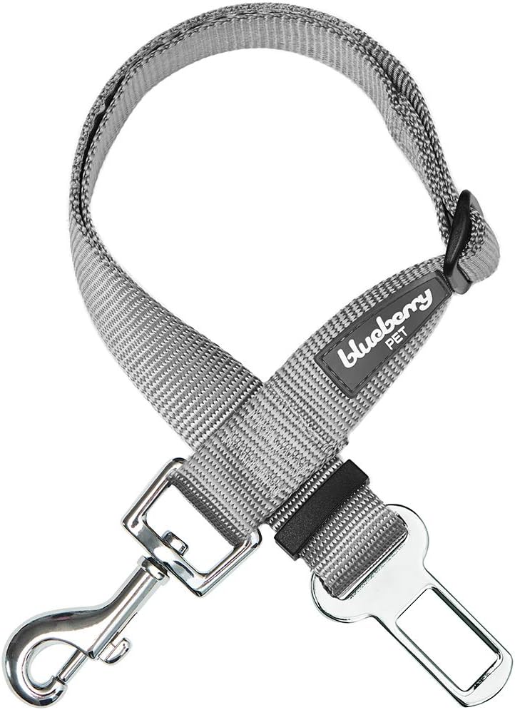 Dog Leash Puppy Essentials Seat Belt Tether for Dogs Cats