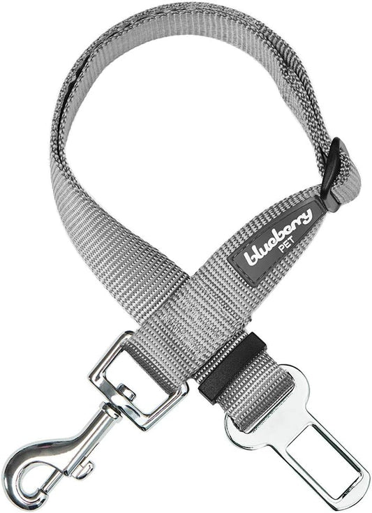 Dog Leash Puppy Essentials Seat Belt Tether for Dogs Cats