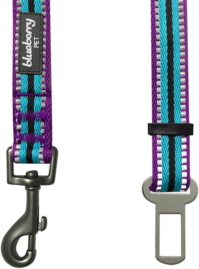 Dog Leash Puppy Essentials - 3M Reflective Adjustable Dog