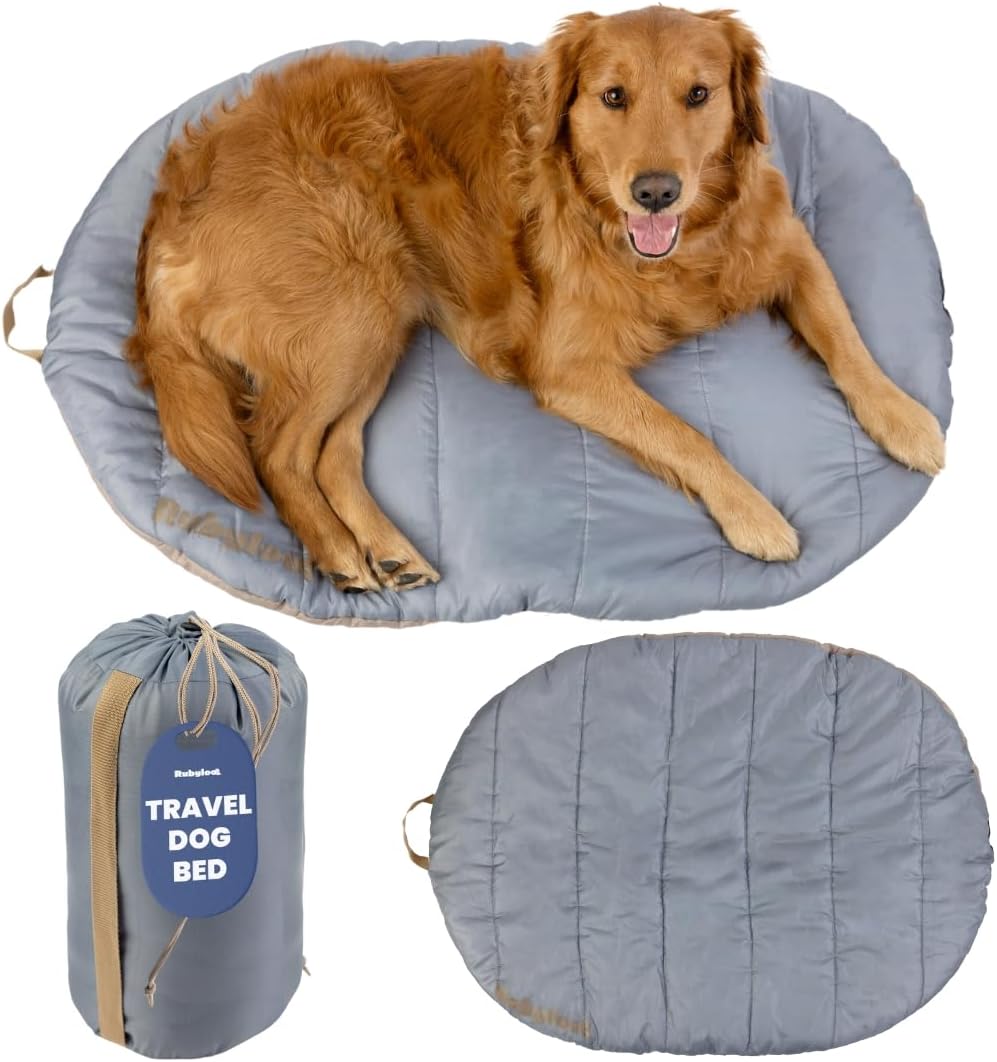 Travel Dog Bed - Foldable & Packable for Travel, Road Trip