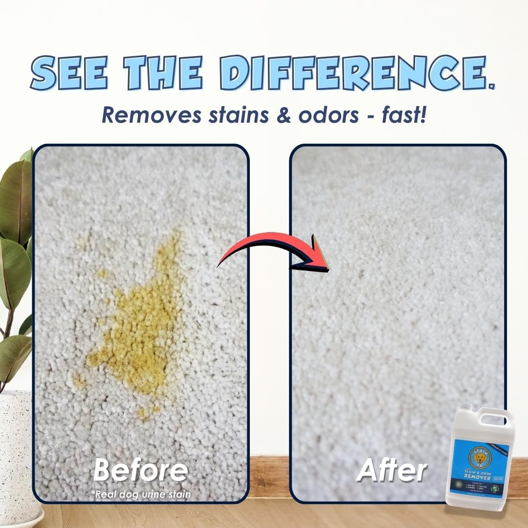 Pet Stain Odor Remover Professional Strength Powerful