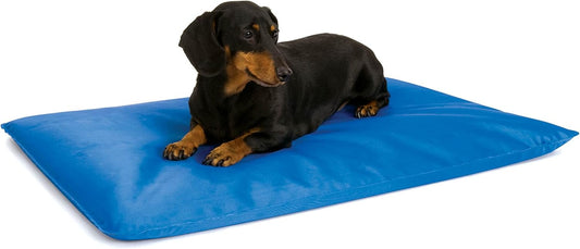 K&H Pet Products Cool Bed III Dog Cooling Mat, Indoor Outdoor Cooling Beds for Small Dogs, Chilling Pet Pad for in Home, Outdoor Houses, Crates, Yards, Porches - Small 24 X 17in Chill Blue