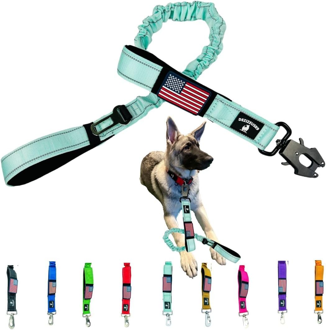 Heavy Duty Bungee Dog Leash - Shock Absorbing, Seat Belt