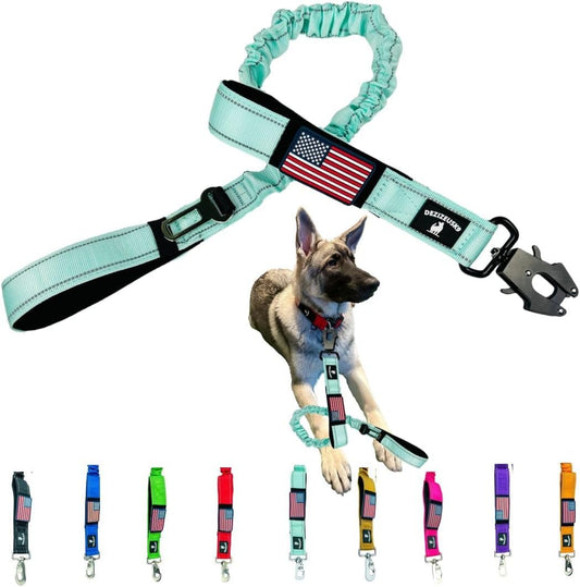 Heavy Duty Bungee Dog Leash - Shock Absorbing, Seat Belt