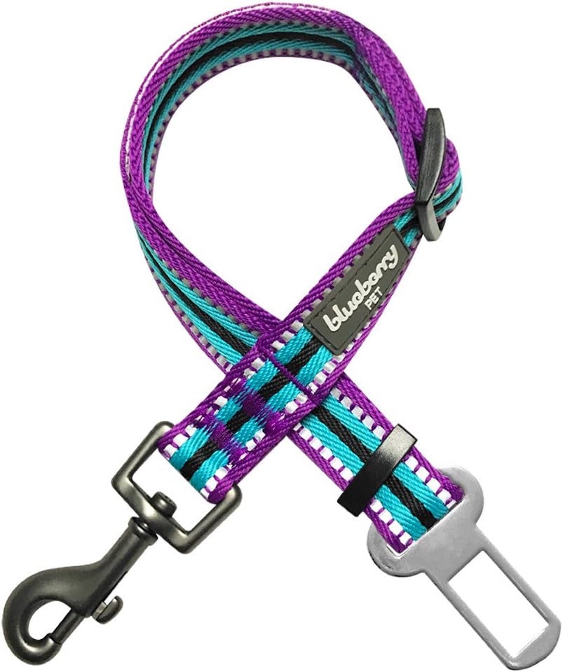 Dog Leash Puppy Essentials - 3M Reflective Adjustable Dog
