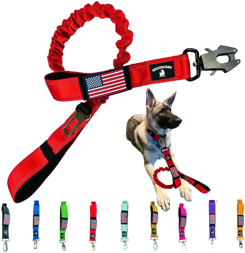 Heavy Duty Bungee Dog Leash - Shock Absorbing, Seat Belt